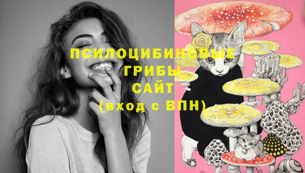 не бодяженный Арсеньев